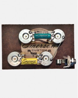 Tele Deluxe 500K Prewired Kit